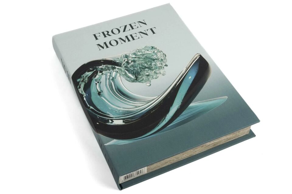 Frozen Moment Kitap Kutu