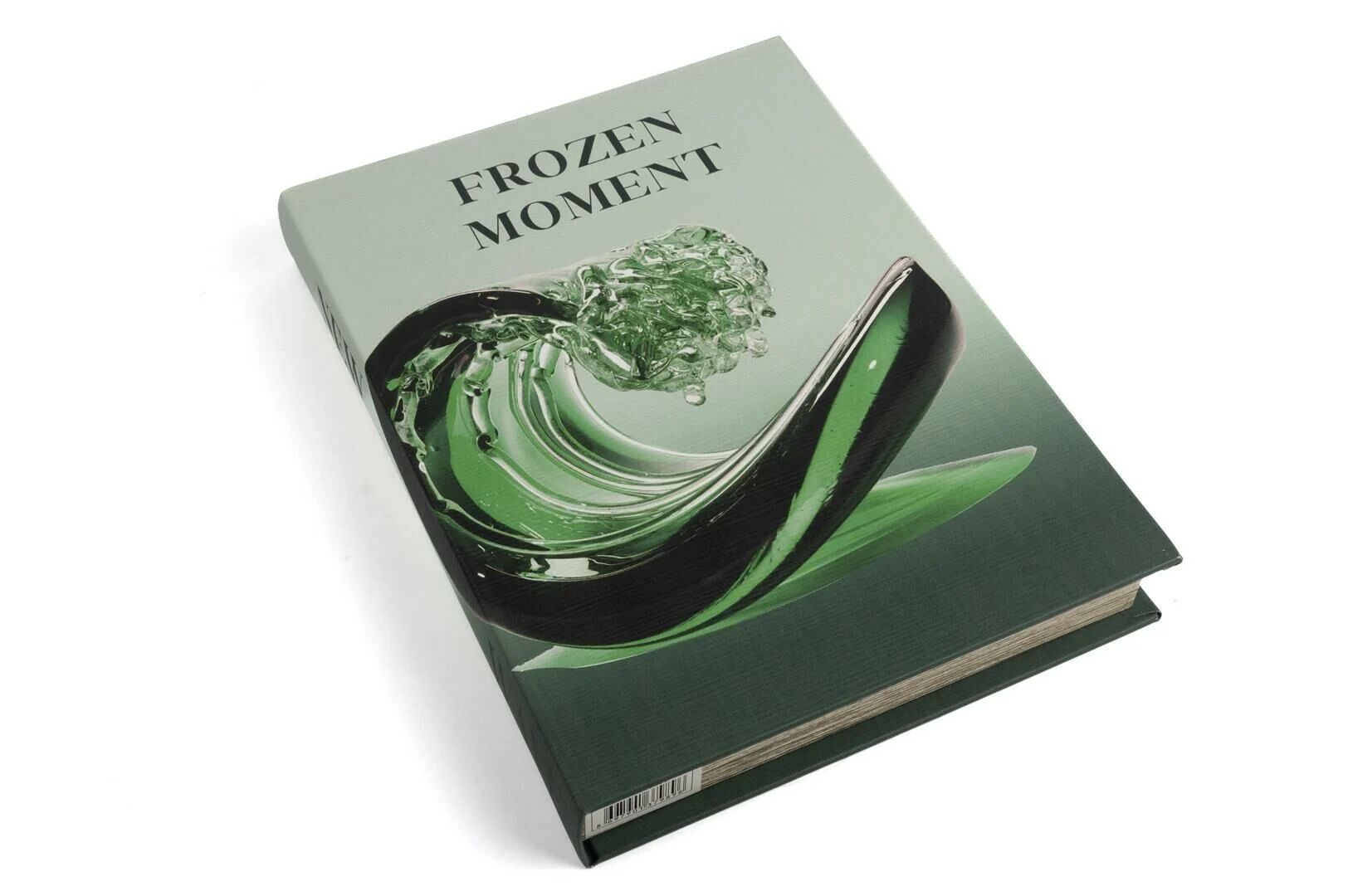 Frozen Moment Kitap Kutu Yeşil - 29x22x4cm