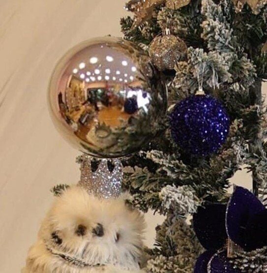 Yılbaşı Süsü Parlak Top 15 cm Gümüş