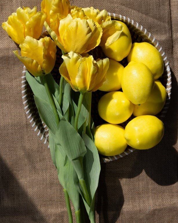 Yapay Büyük Limon Sarı