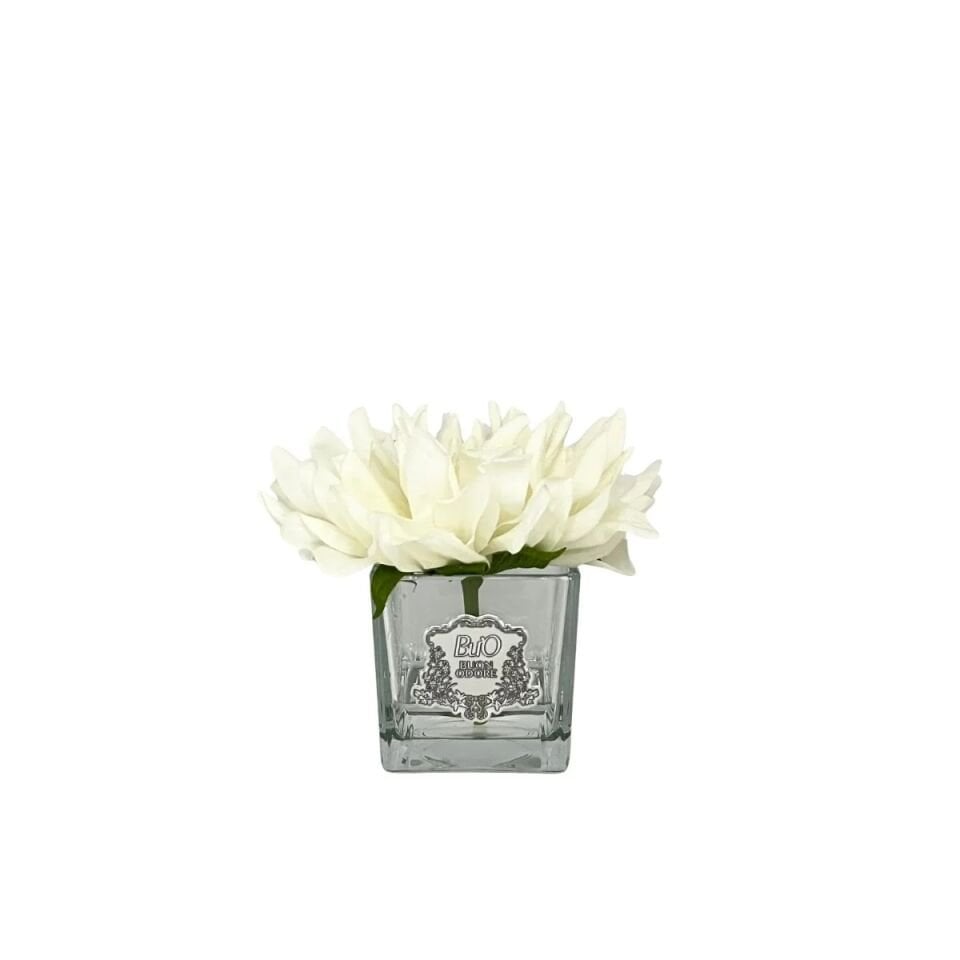 Yıldız Çiçeği Silver Tek Yıldız Çiçeği Silver Tek
