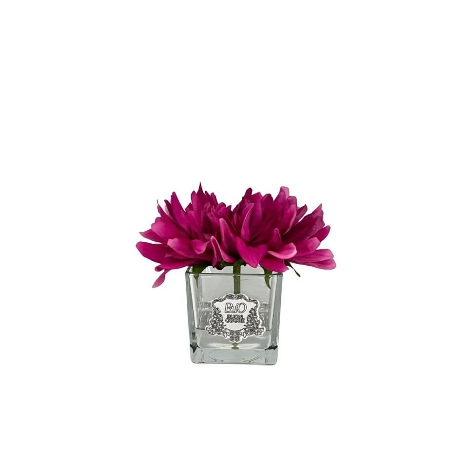 Yıldız Çiçeği Silver Tek Yıldız Çiçeği Silver Tek