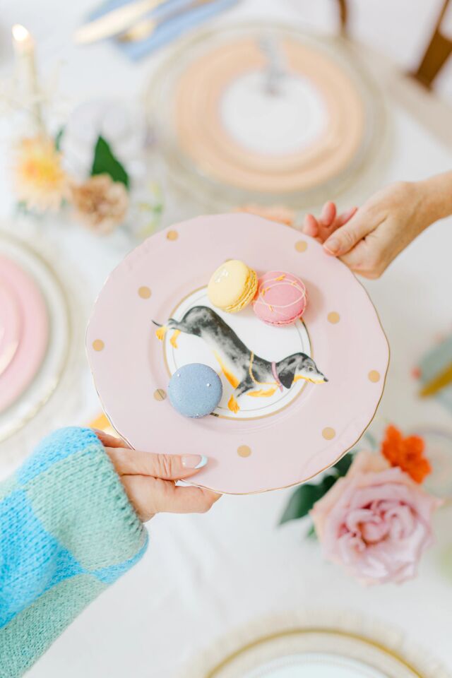 ANIMALS TABAK 23cm 23cm - Köpekli