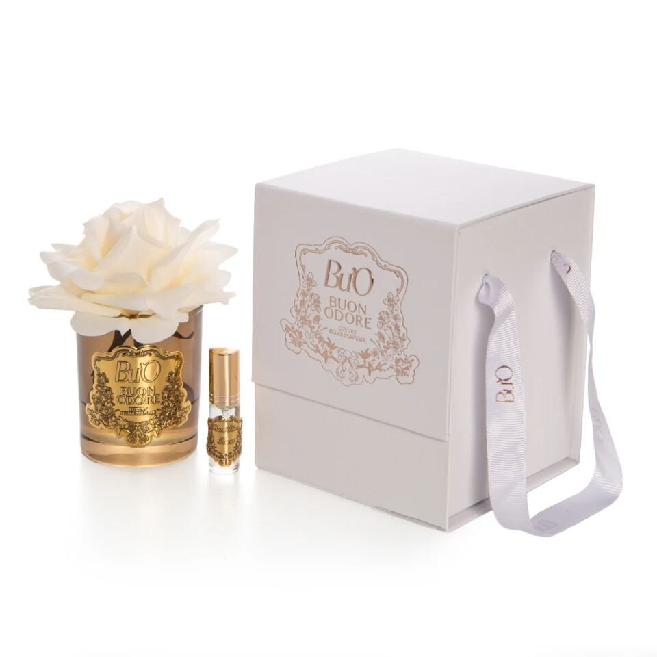 AMBER CAM GOLD TEK GÜL Krem