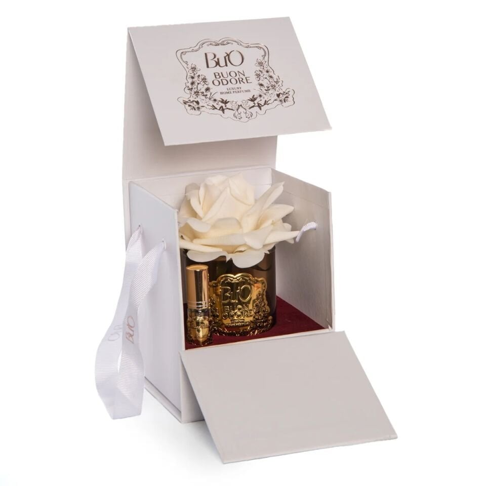 AMBER CAM GOLD TEK GÜL Krem