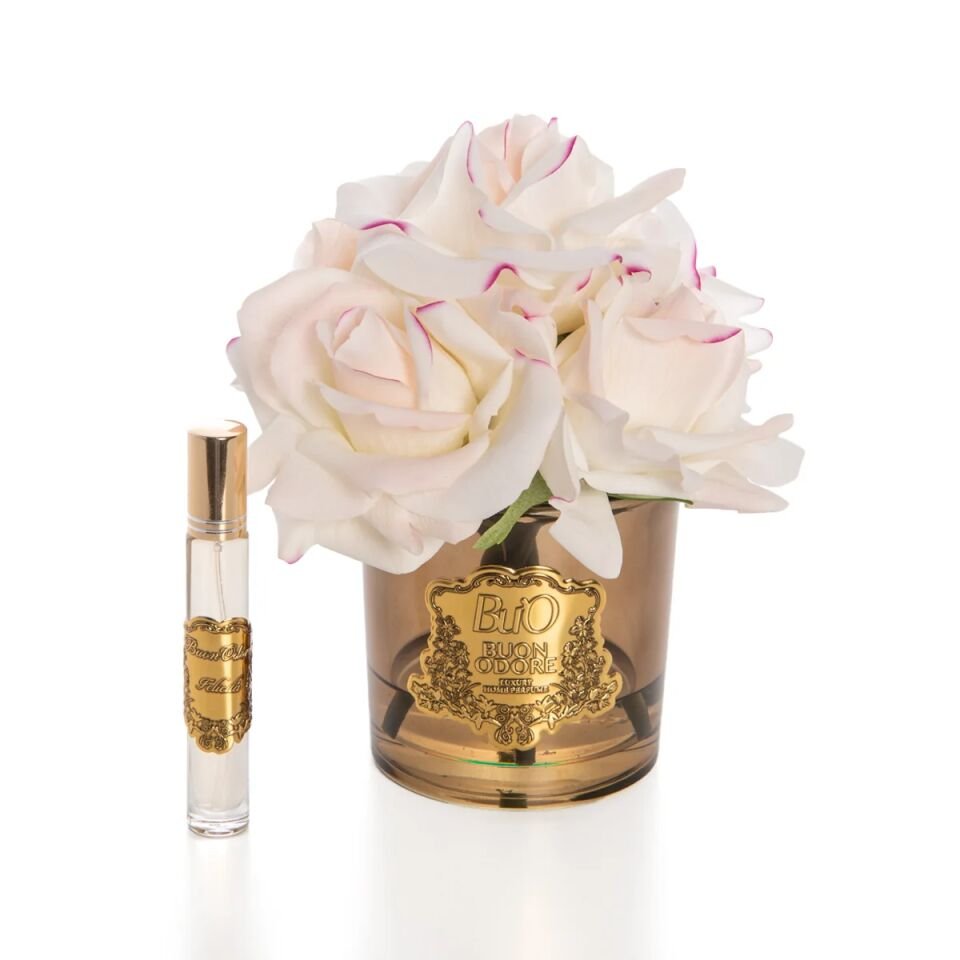 Amber Cam Gold 5 Gül Luxury Home Perfume Allıklı