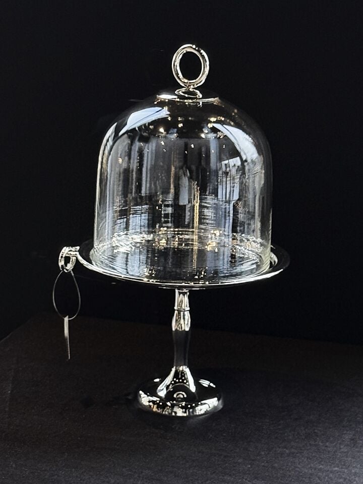 HLK CAM KAPAKLI AYAKLI PASTALIK